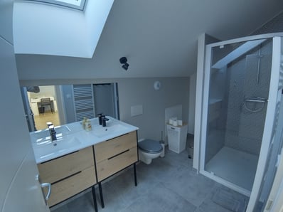 salle de bain wc dans comble sur Tignieu 