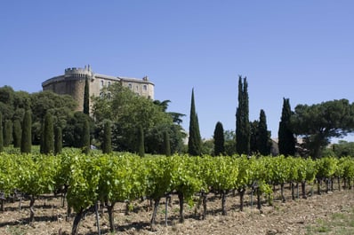 Scenic vineyards around Suze-la-Rousse in Drôme Provençale, kwon for rich wines and landscapes