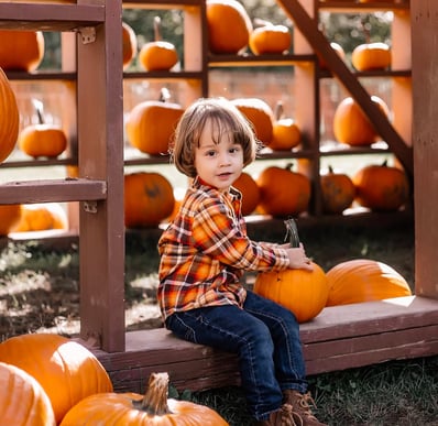 autumn