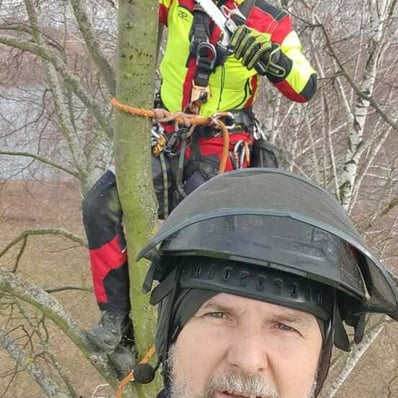 Péče o stromy, výškové kácení stromů