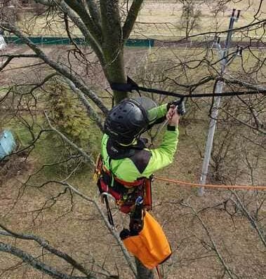 Rizikové kácení stromů, arboristika