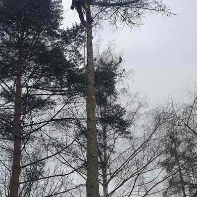 Arboristické práce, arboristika vybavení