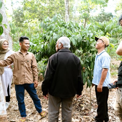 pelatihan budi daya kopi liberika dan robusta kepada petani sambas dan ambawang dengan dukungan dari PLN peduli dan Kolibro