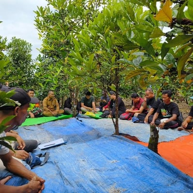 pelatihan budi daya kopi liberika dan robusta kepada petani sambas dan ambawang dengan dukungan dari PLN peduli dan Kolibro