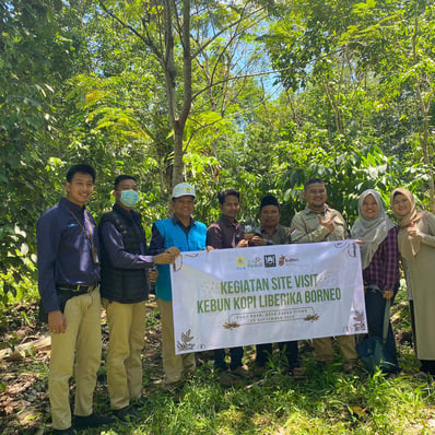 pelatihan budi daya kopi liberika dan robusta kepada petani sambas dan ambawang dengan dukungan dari PLN peduli dan Kolibro