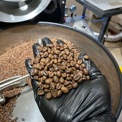 pelatihan sangrai kopi pontianak, pelatihan roaster pontianak, pelatihan roaster gratis, pelatihan pontianak gratis