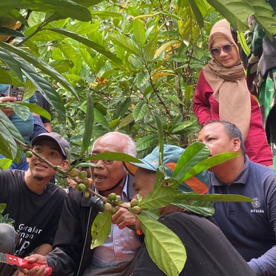 pelatihan budi daya kopi liberika dan robusta kepada petani sambas dan ambawang dengan dukungan dari PLN peduli dan Kolibro