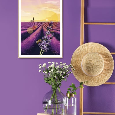 Magnifique champs de lavandes au couché su soleil sur le plateau de Valensole.