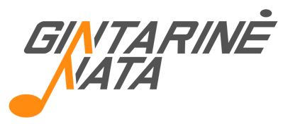 Gitaros ir Būgnų pamokos logo