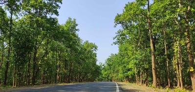 "Chhattisgarh's green forests with roads–nature meets progress"
