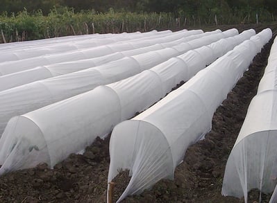 Agriculture Non Woven fabric