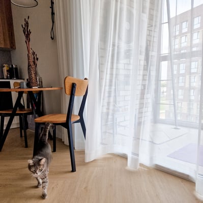 dieninės užuolaidos su katinu