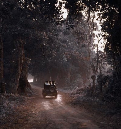 jeep safari in ranthambore national park