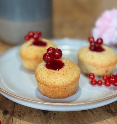 Financiers Groseille