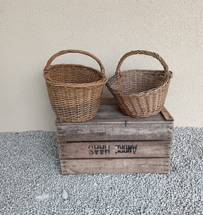 panier en osier
