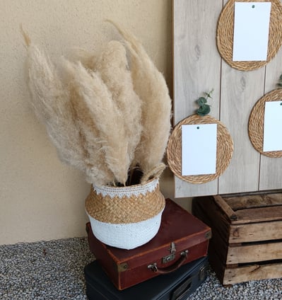 panier de pampas