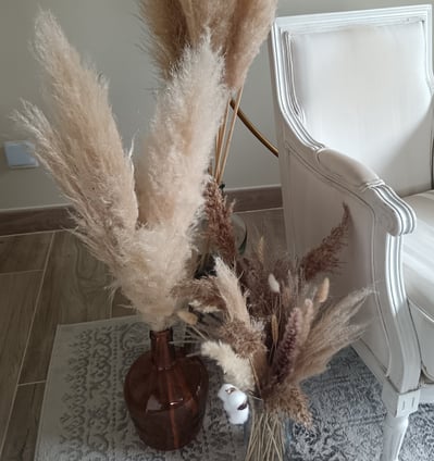 tiges de pampas
