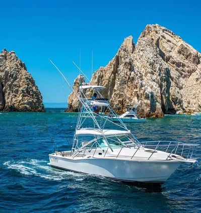 cabo express 31 sport fishing yacht