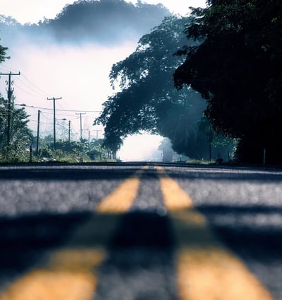 Belize City, Regenwald