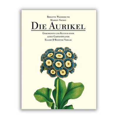 Buch: Die Aurikel, Wachsmuth/Nickig