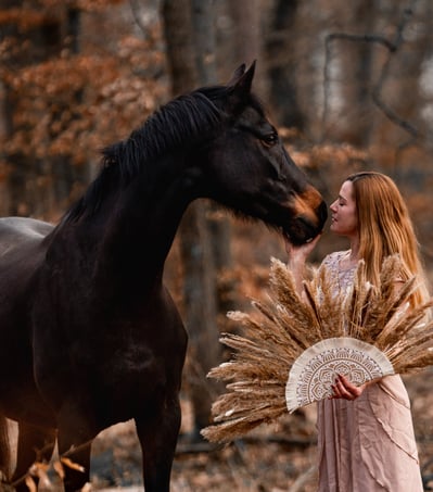 Pferde-Mensch-Porträt
