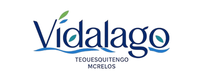 Vidalago logo