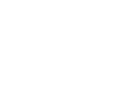 Netherink logo