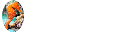 Ocean Visits Underwater Photography logo