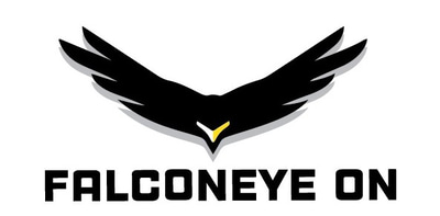 FalconEyeOn logo
