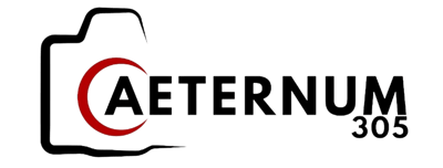 Aeternum 305 logo
