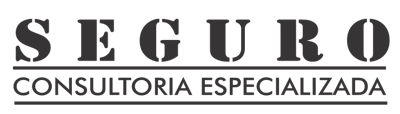SEGURO CONSULTORIA E ASSESSORIA ESPECIALIZADA logo
