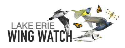 Lake Erie Wing Watch logo