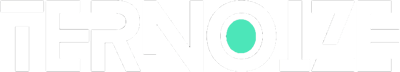 Ternoize logo