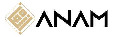 ANAM Technical Services LLC logo