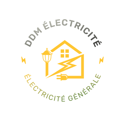 DDM ELECTRICITE logo