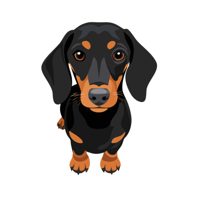 Ralf the dachshund