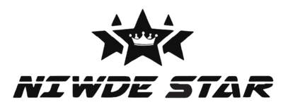 Niwde Star logo