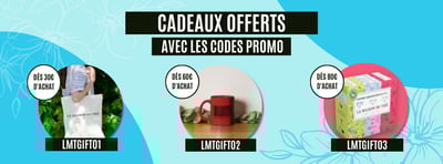 Bannière promotionnelle pour site marchand
