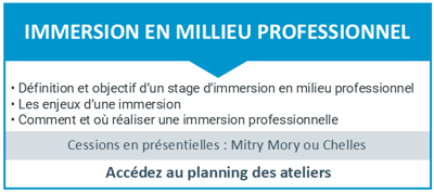 atelier, AIP, information, action, collective, RSA, suivit, accompagnement, emploi, formation