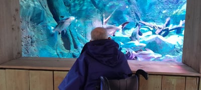 sortie à l'aquarium en fauteuil roulant