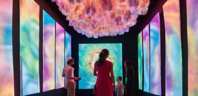 immersive art