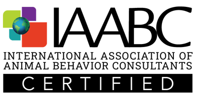 IAABC Certified Dog Behavior Consultant Kathy Jo Ventrano