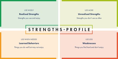 Strengths Profile schematic