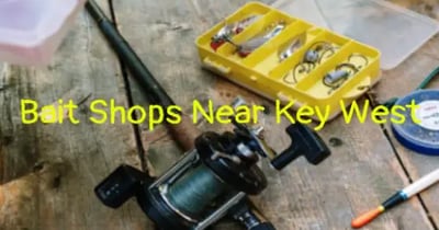 best-bait-and-tackle-shop-in-key-west