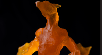 statuette drago thyrus di terni, action figure drago thyrus di terni, modellino drago thyrus terni