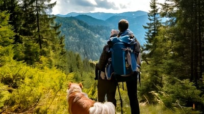 Urlaub mit Hund im Bayerischen Wald St Englmar