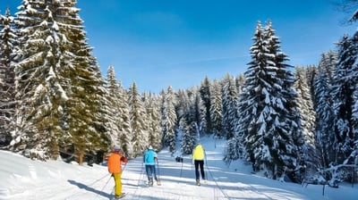 Skifahren im Bayerischen Wald Pröller St. Englmar