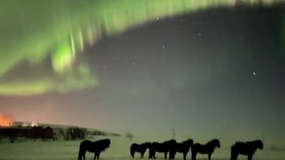 Aurora borealis or  Northern Lights near Selfoss, Iceland