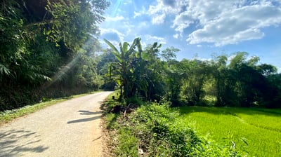 a person riding a bike down a dirt road