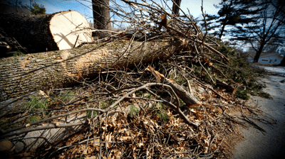 Park City Yard Debris Cleanup